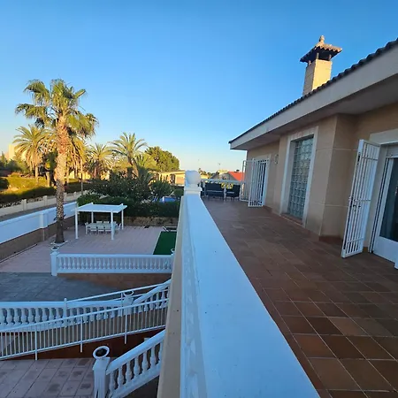 Olivos La Venteta